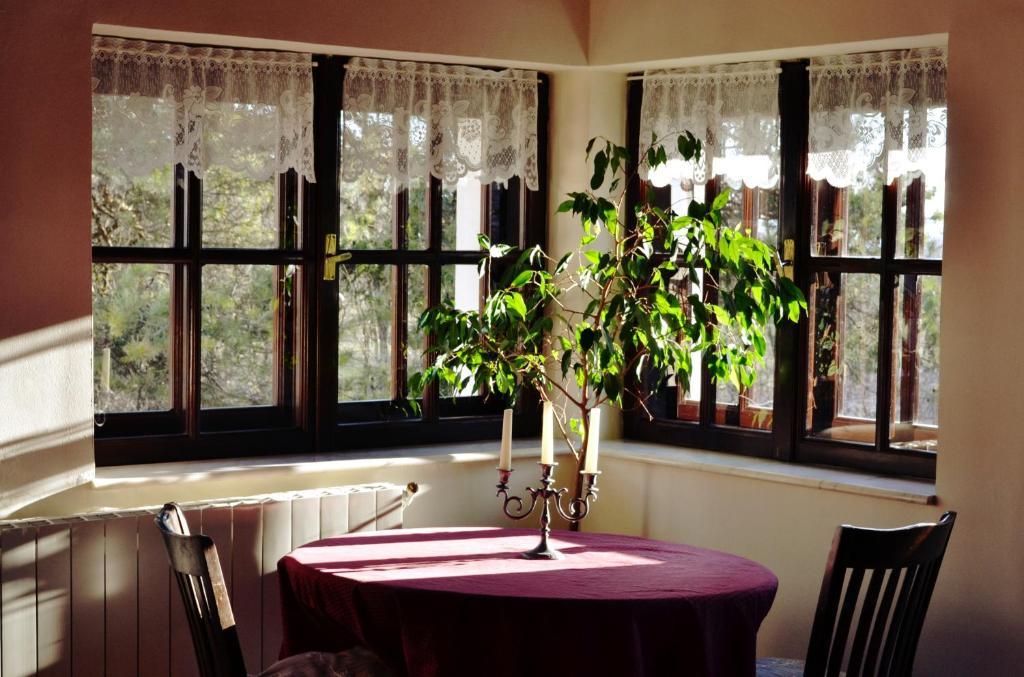 Villa Castelul Maria Banpotoc Room photo